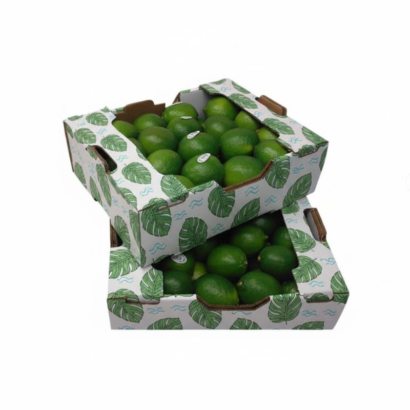 RB-218 Fruit Stijve Doos